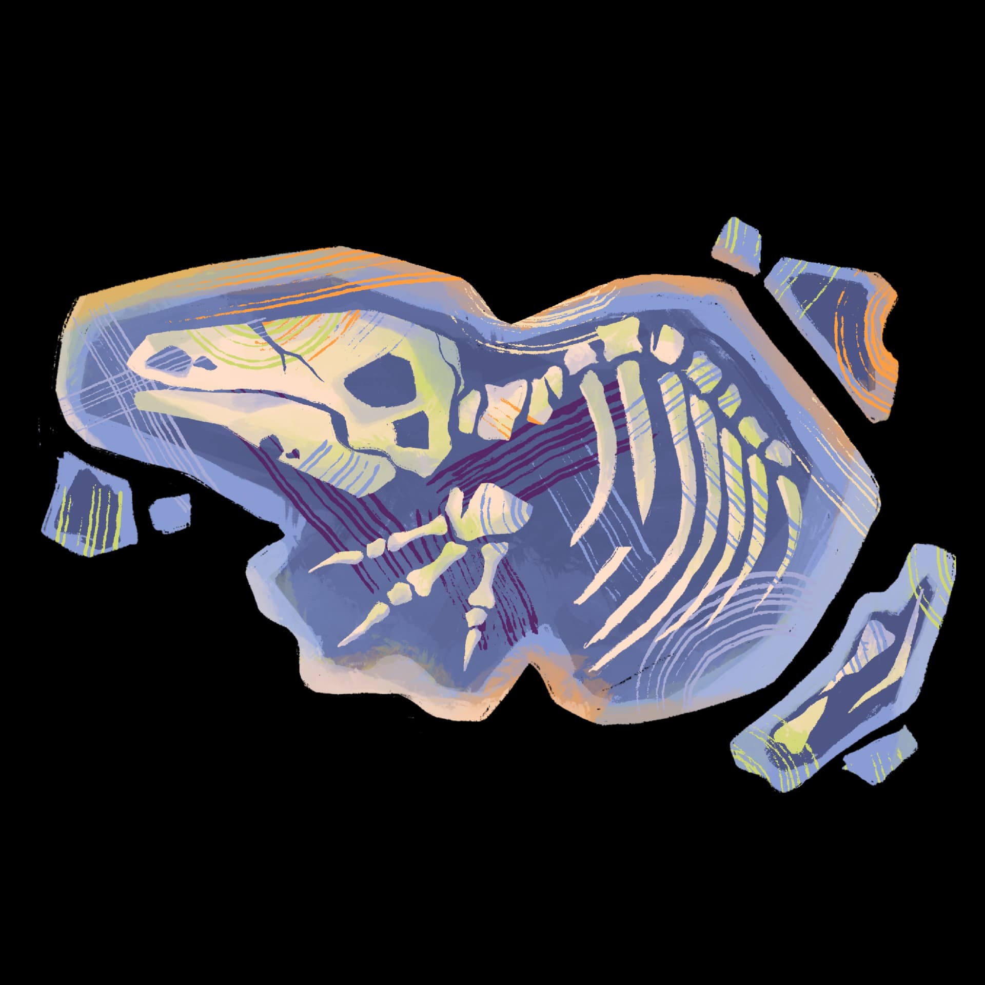 Dino-3
